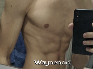 Waynenort