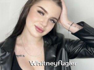 Whitneyfugler