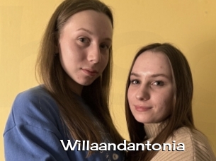 Willaandantonia