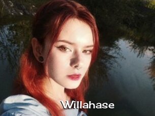 Willahase