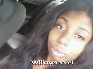 Willow_secret