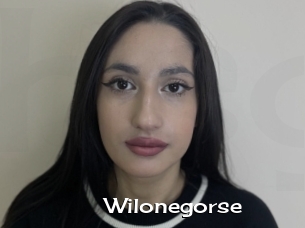 Wilonegorse