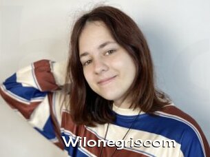 Wilonegriscom