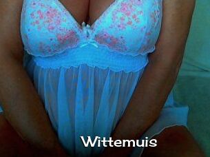 Wittemuis