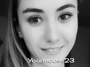 Yourmouse23