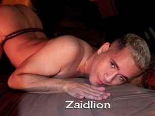 Zaidlion