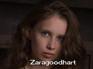 Zaragoodhart