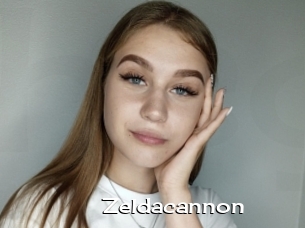 Zeldacannon